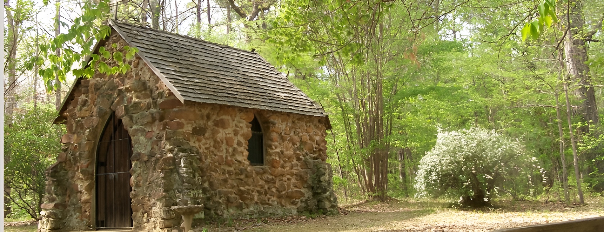 Mansfield Image