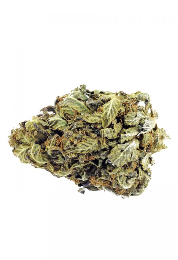 Marijuana Store Wasilla and Palmer, AK [Bad Gramm3r]