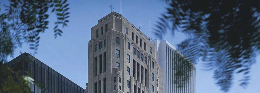 for the pros commercial windows