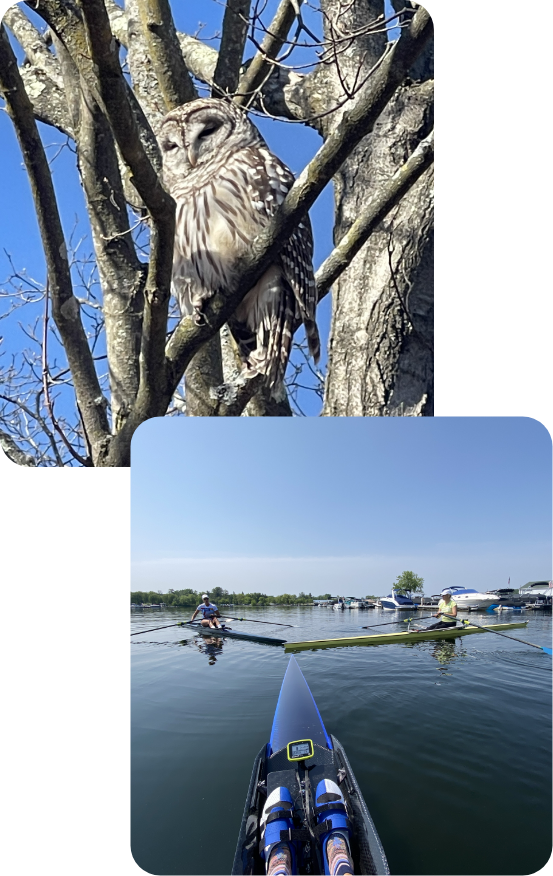 owl-lake
